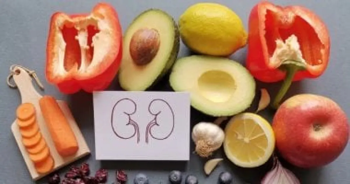 5 نصائح ذهبية لحماية كليتيك من الأمراض: دليلك لصحة أفضل